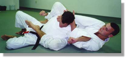 Cesar & Rodrigo Gracie demonstrating a choke from behind.